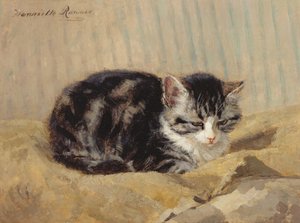 Il gatto tigrato